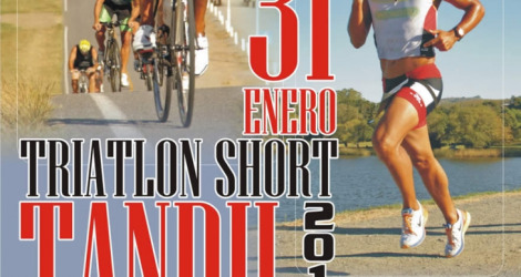 31 de Enero de 2016